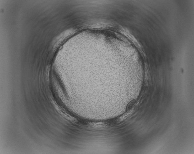 X0000067400058200604211709