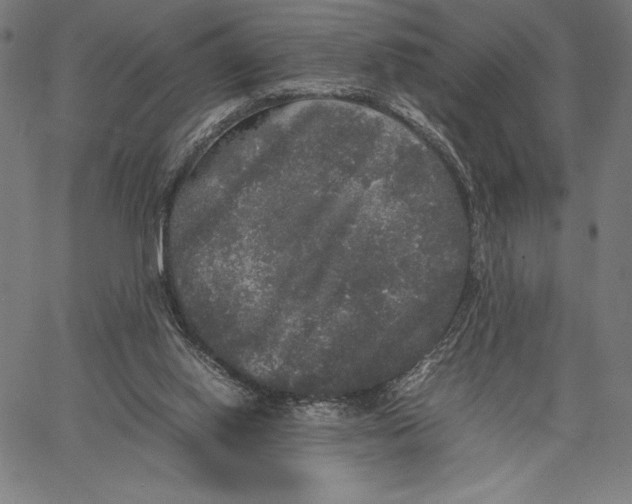 X0000067400062200604211709