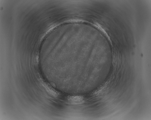 X0000067400063200604211709