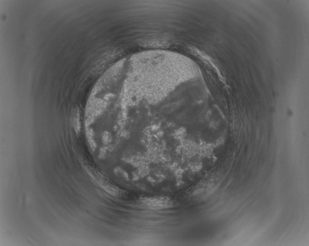 X0000067400069200604211709