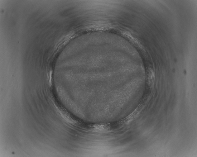 X0000067400070200604211709