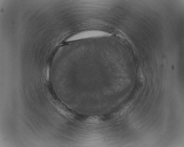 X0000067400076200604211709