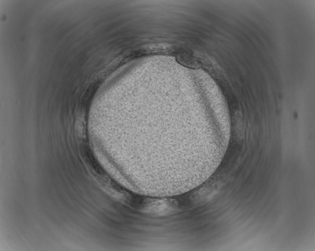 X0000067400083200604211710