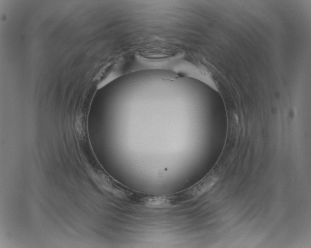 X0000067400088200604211710