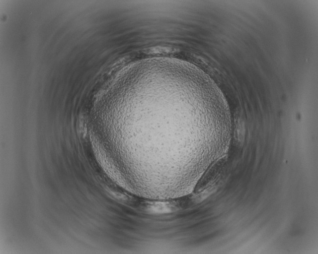 X0000067400091200604211710