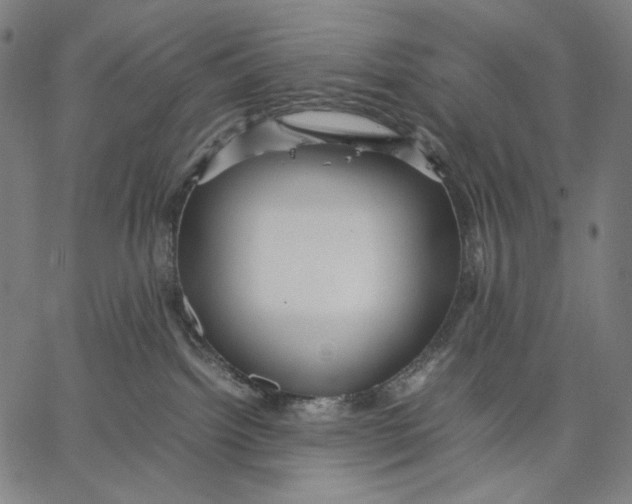 X0000067400092200604211710
