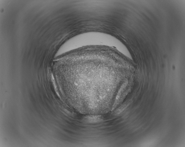 X0000067400093200604211710
