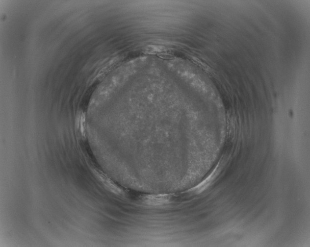 X0000067400094200604211710