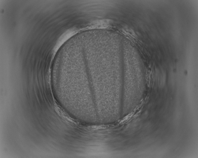 X0000067400100200604211709