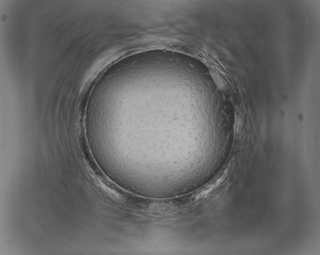 X0000067400101200604211709