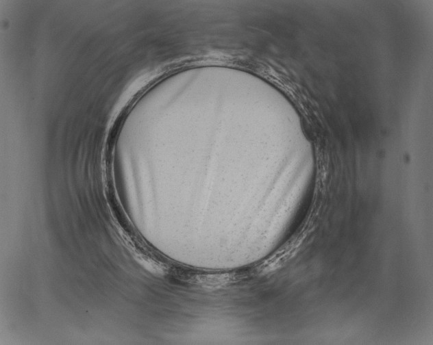 X0000067400102200604211709