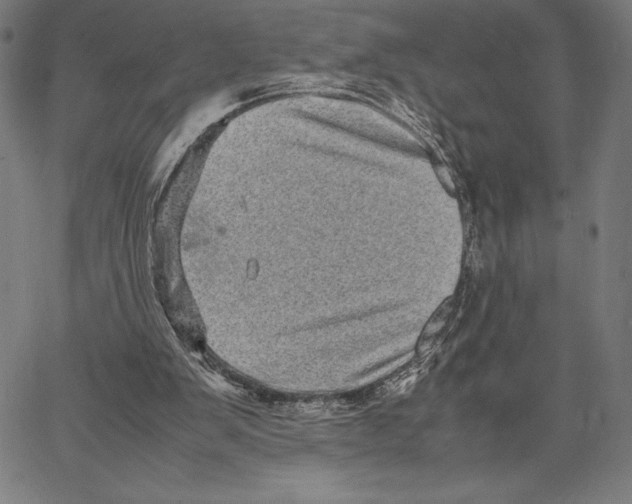 X0000067400103200604211709
