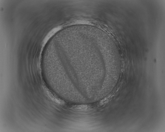 X0000067400104200604211709