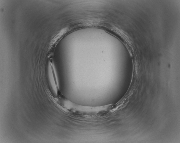 X0000067400105200604211709