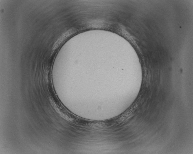 X0000067400106200604211709