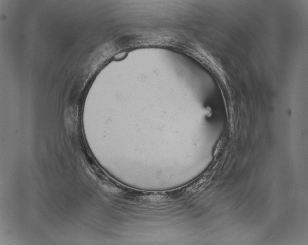 X0000067400107200604211709