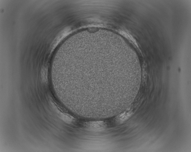 X0000067400108200604211709