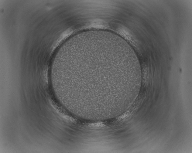 X0000067400112200604211709