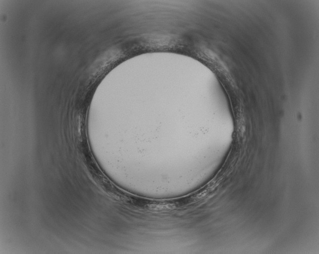 X0000067400115200604211709