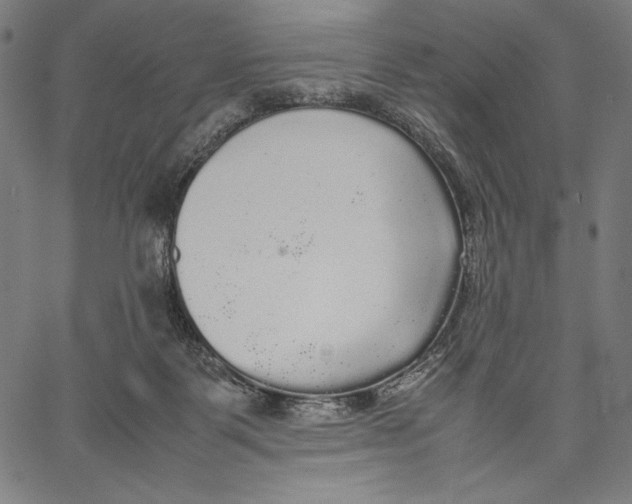 X0000067400123200604211709