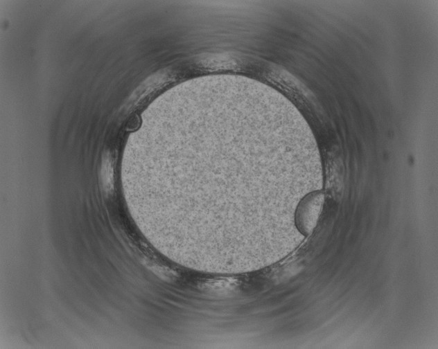 X0000067400124200604211709