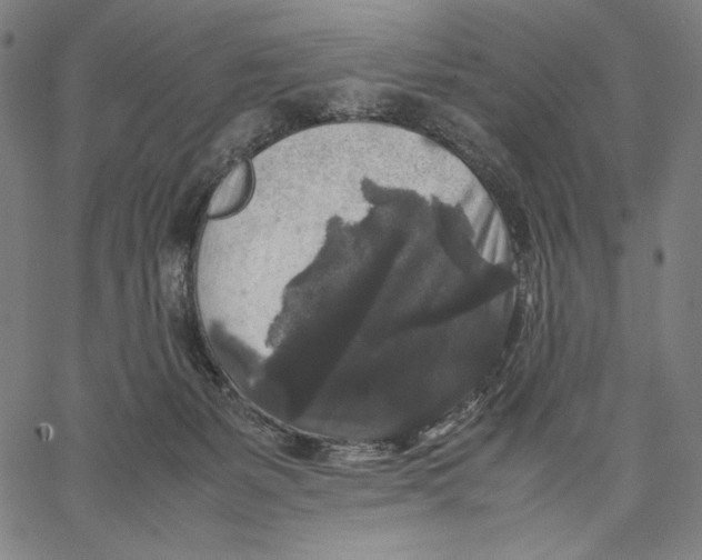 X0000067400127200604211708