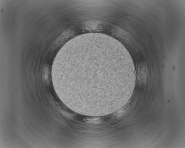 X0000067400132200604211708