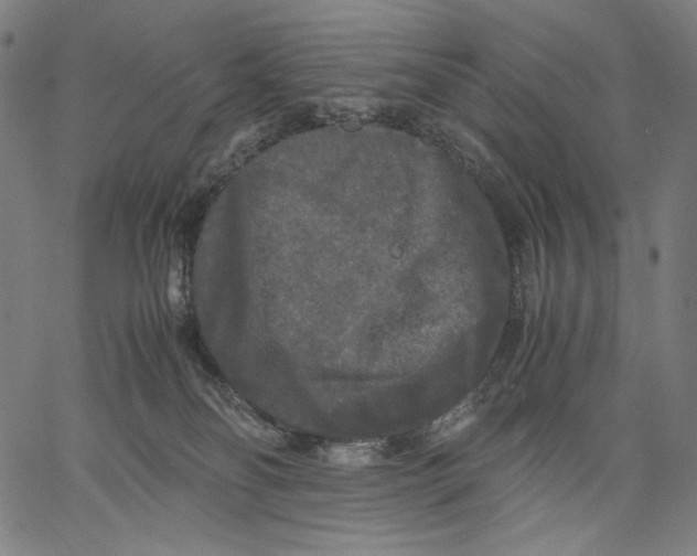 X0000067400134200604211708