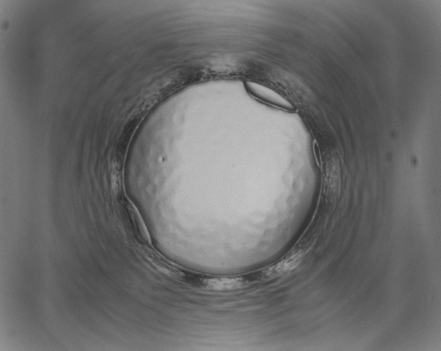 X0000067400135200604211708