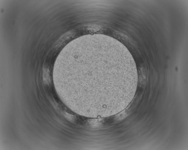 X0000067400136200604211708