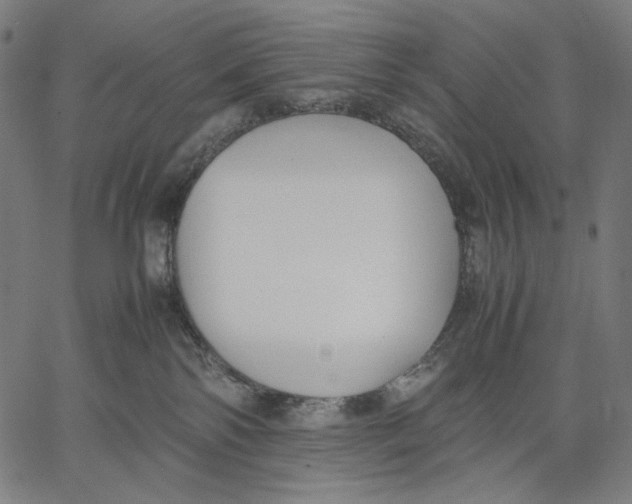 X0000067400138200604211708