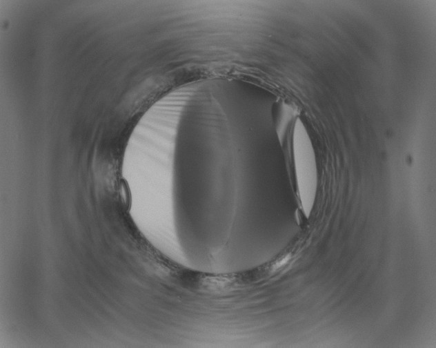 X0000067400139200604211708