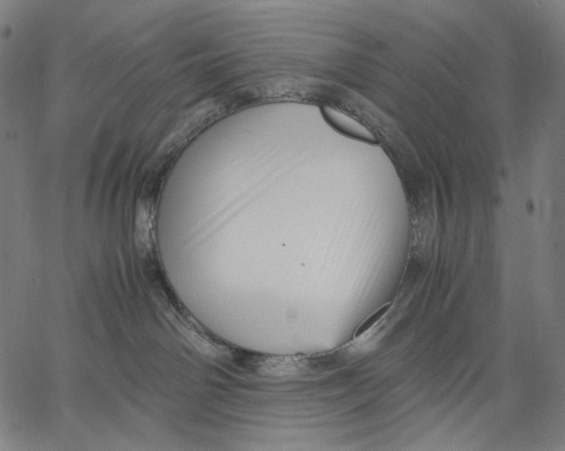 X0000067400142200604211708