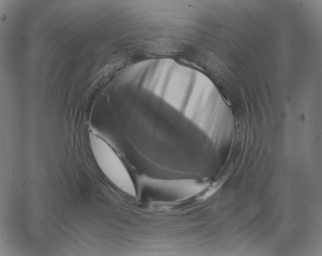X0000067400143200604211708