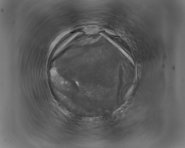 X0000067400147200604211707