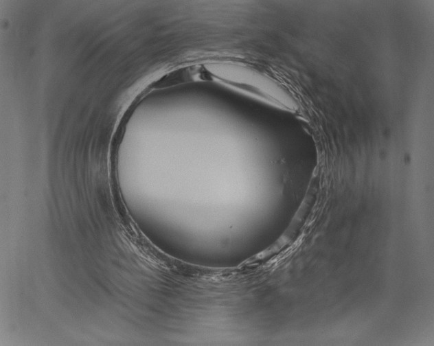 X0000067400148200604211707