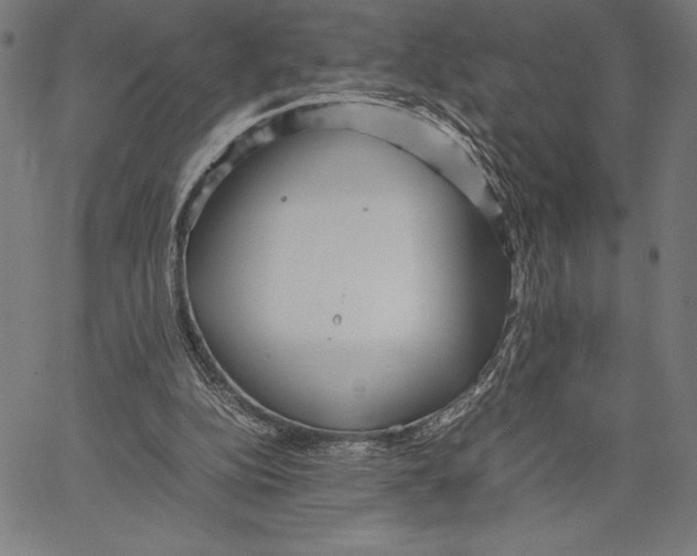 X0000067400152200604211708