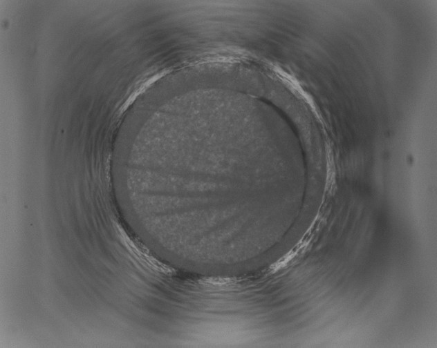 X0000067400154200604211708