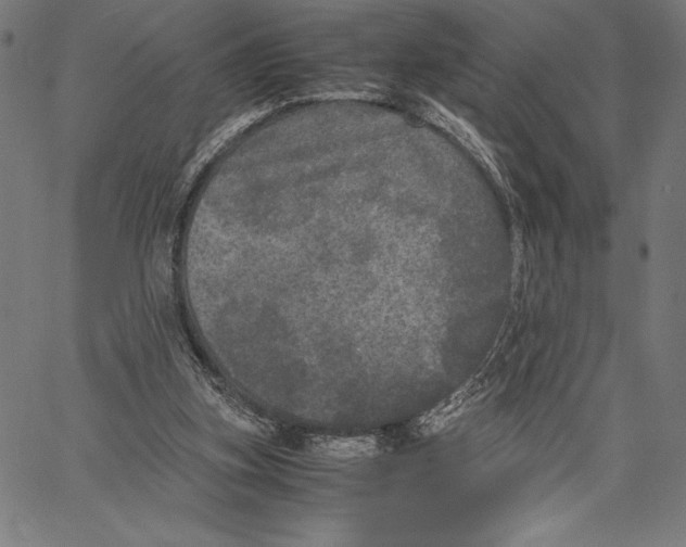 X0000067400155200604211708