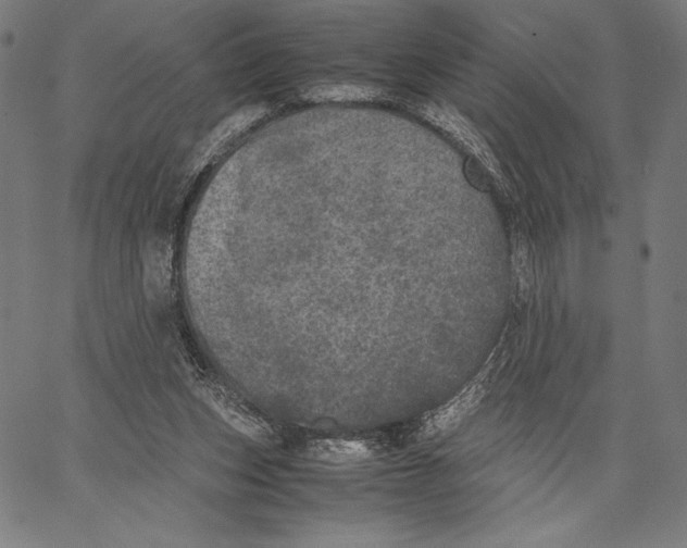 X0000067400159200604211708