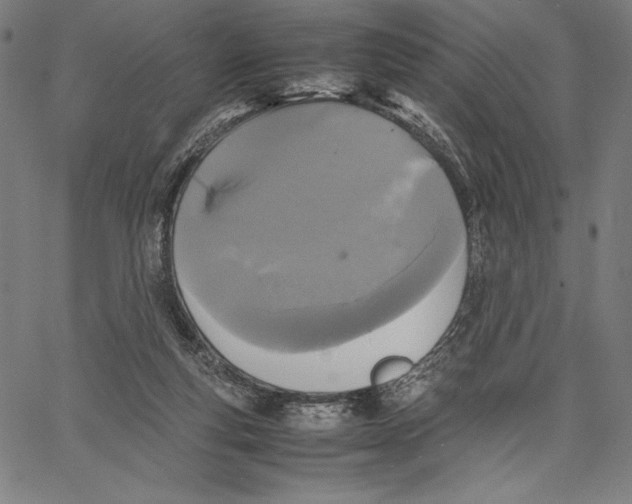 X0000067400163200604211708