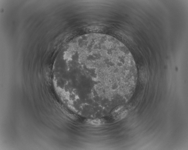 X0000067400181200604211708