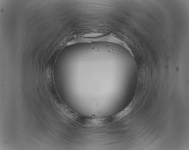 X0000067400184200604211708
