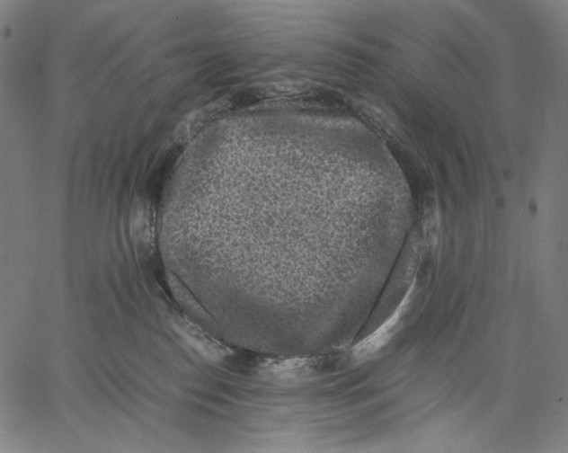 X0000067400186200604211708