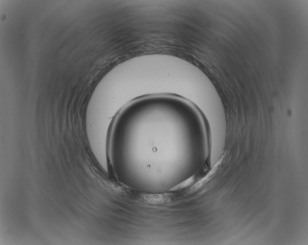 X0000067400187200604211708