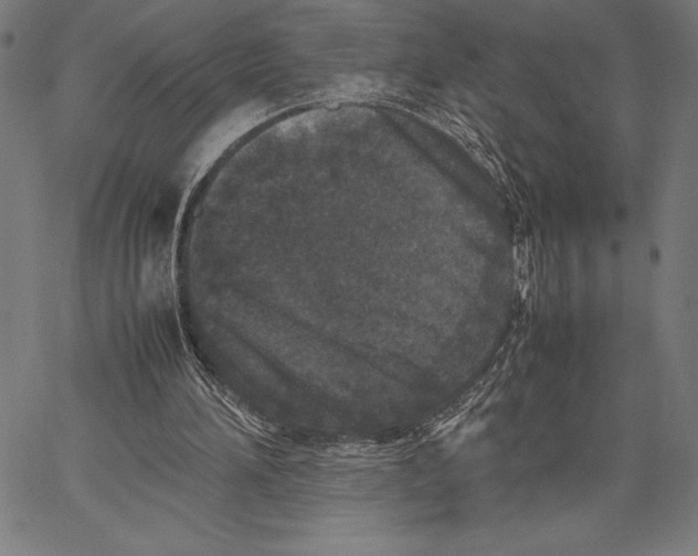 X0000067400196200604211707