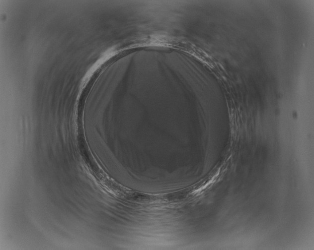X0000067400200200604211707