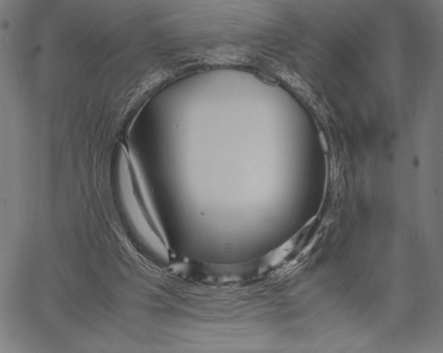 X0000067400201200604211707