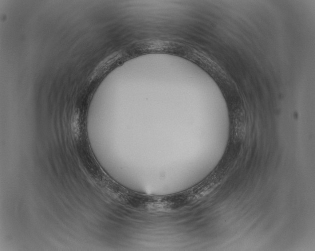 X0000067400216200604211707