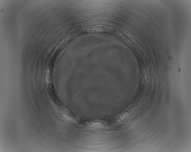 X0000067400224200604211707